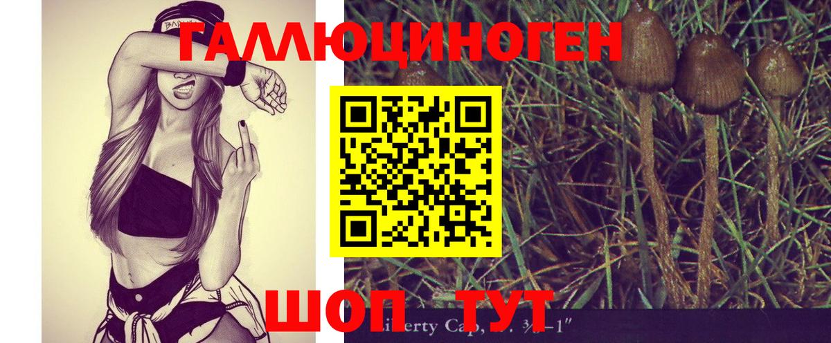 Псилоцибиновые грибы Psilocybe Кинешма