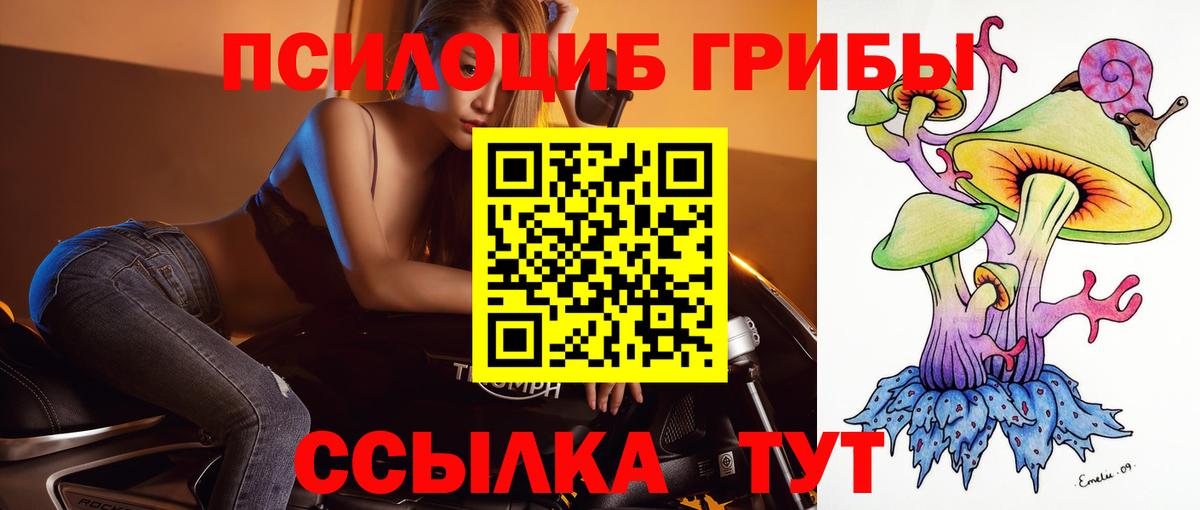 Галлюциногенные грибы прущие грибы  Вход с VPN  Кинешма 