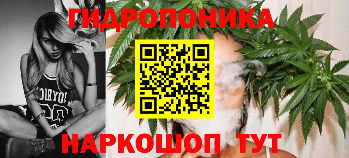 Марихуана Amnesia Кинешма